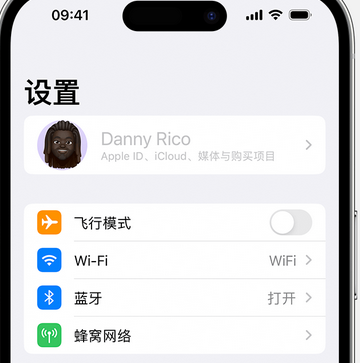 文昌appleID维修服务iPhone设置中Apple ID显示为灰色无法使用