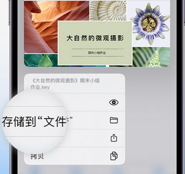 文昌apple维修中心分享iPhone文件应用中存储和找到下载文件