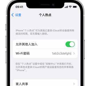 文昌apple服务站点分享iPhone上个人热点丢失了怎么办 