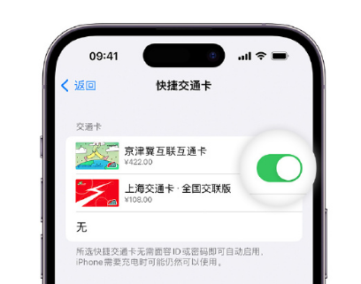 文昌apple维修点分享iPhone上更换Apple Pay快捷交通卡手绘卡面 