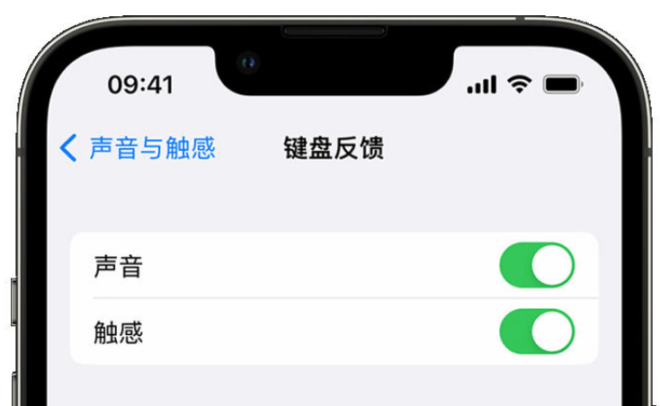 文昌苹果手机维修分享iPhone 14触感键盘使用方法 