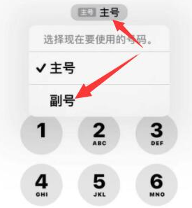 文昌苹果14维修店分享iPhone 14 Pro Max使用副卡打电话的方法 