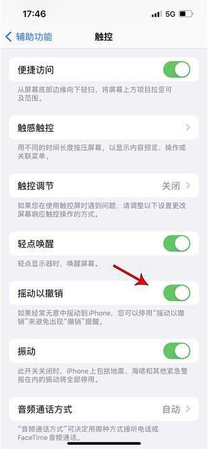 文昌苹果手机维修分享iPhone手机如何设置摇一摇删除文字 